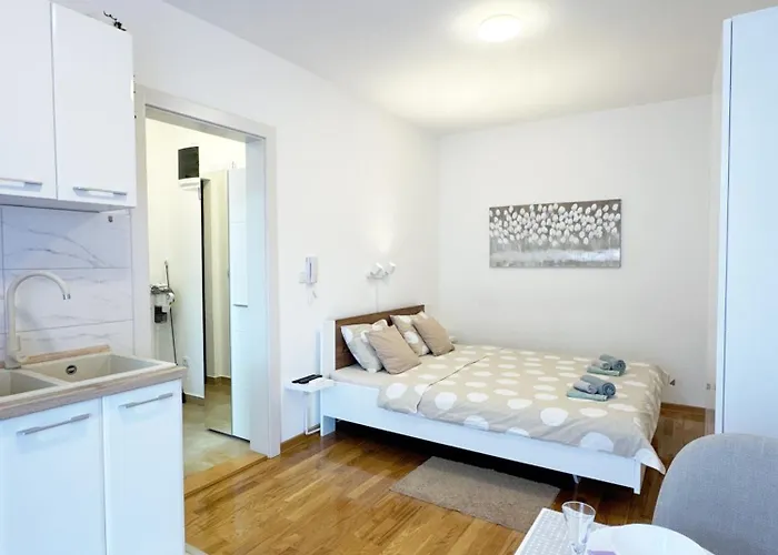 Gagi * Vrnjačka Banja